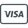 Visa payment icon